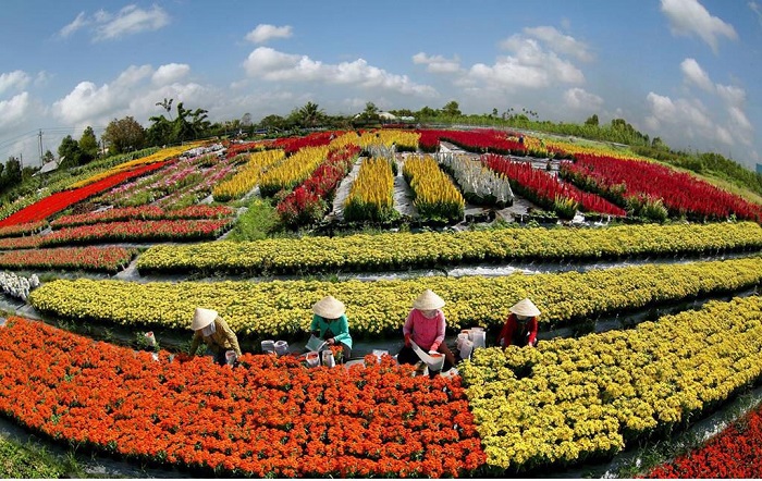 làng hoa Sa Đéc Đồng Tháp