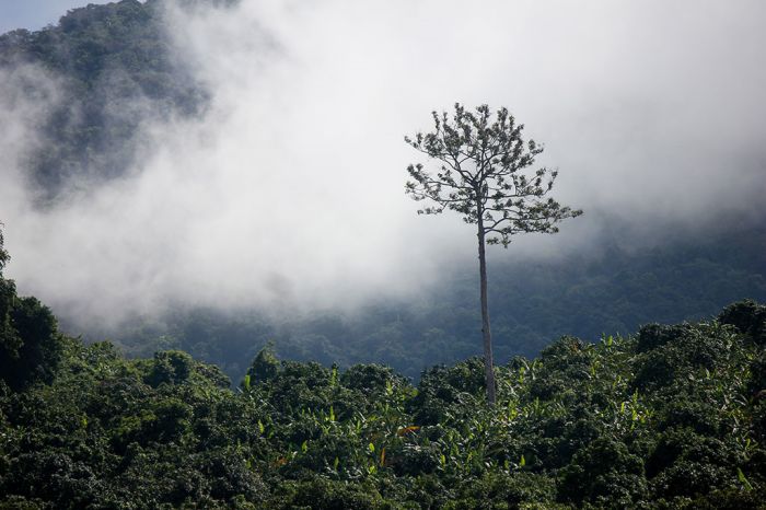 Xanh mướt Ma Thiên Lãnh Tây Ninh