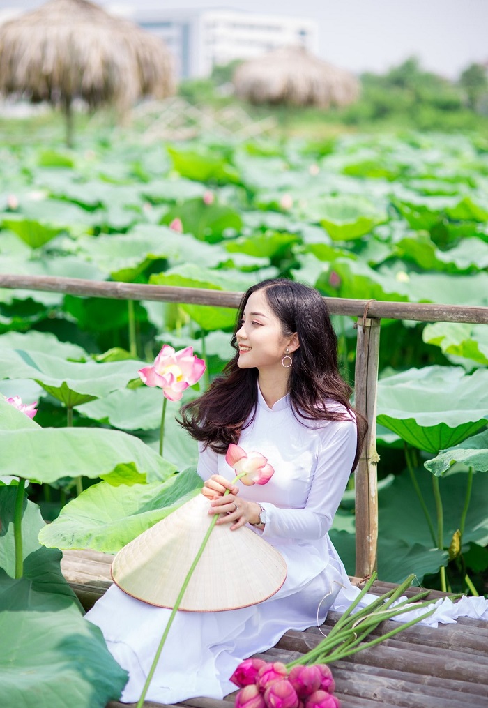 Mùa hoa tháng 5 Hà Nội hồng thắm với hoa sen