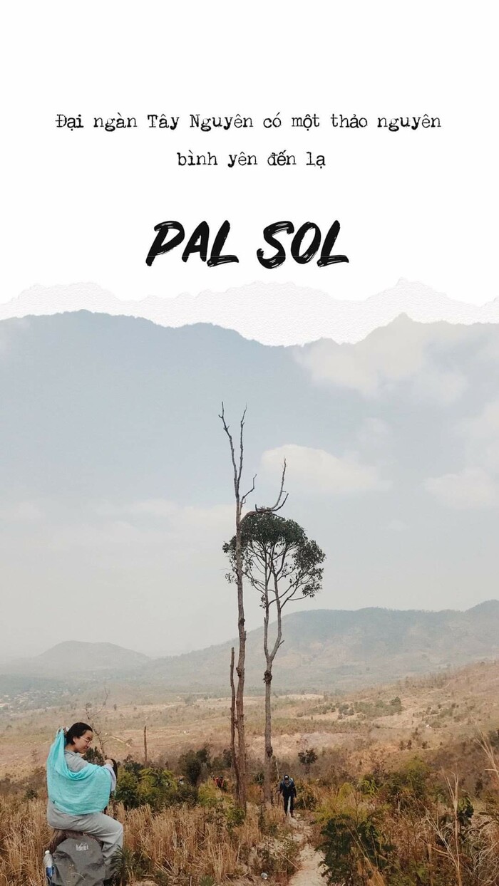 thảo nguyên Pal Sol Đắk Lắk