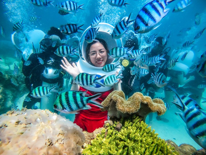 khám phá thế giới đại dương tại công viên san hô Namaste Phú Quốc