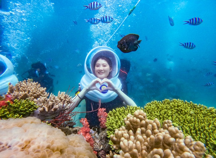 công viên san hô Namaste Phú Quốc với vô vàn loài sinh vật biển 