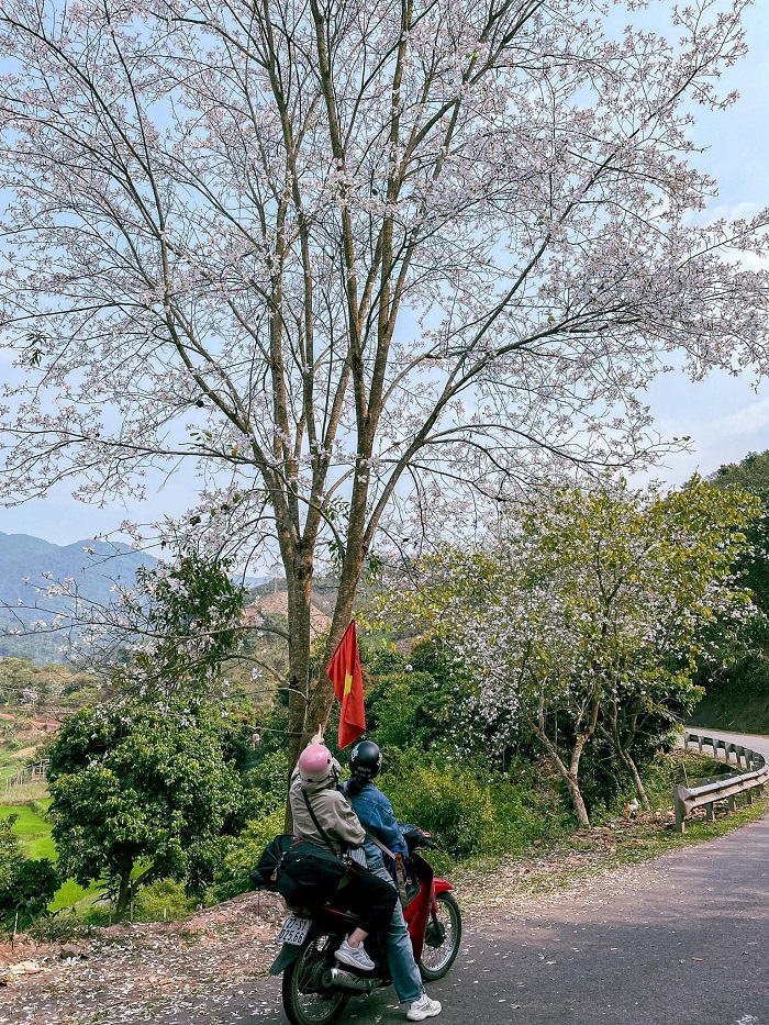 Cột mốc A Pa Chải mùa nào cũng đẹp xao xuyến lòng người