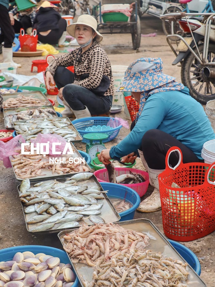 Bạn có thể trực tiếp đi chợ và mua hải sản ngon về chế biến tại đảo Nghi Sơn Thanh Hóa