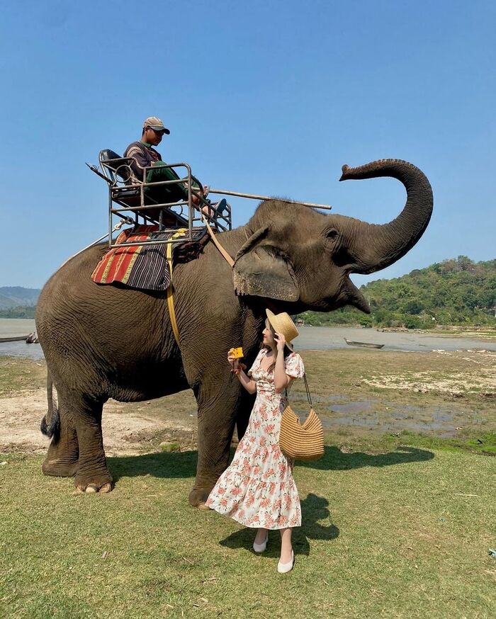 check-in cùng voi tại địa điểm chèo SUP ở Đắk Lắk 