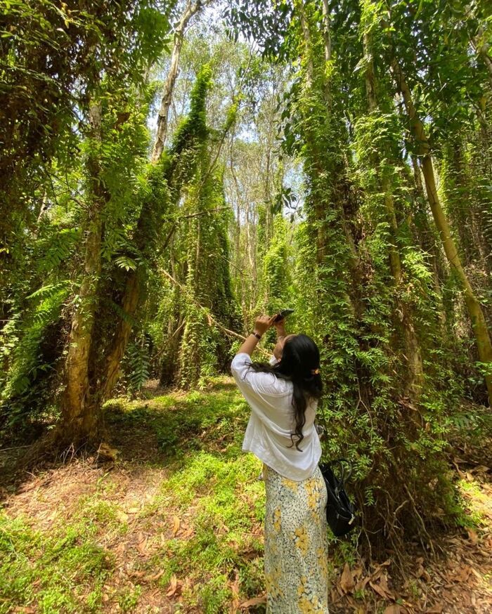 du lịch Bà Rịa – Vũng Tàu hòa mình vào giữa thiên nhiên tại khu bảo tồn thiên nhiên Bình Châu - Phước Bửu