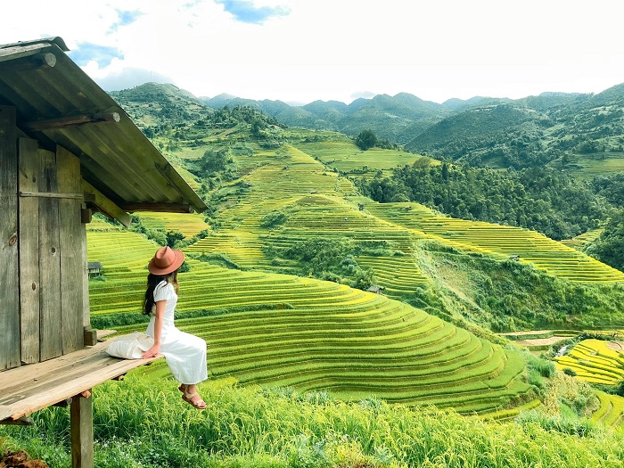 Từ Mù Cang Chải mùa nước đổ, những cây lúa xanh ngắt ra đời