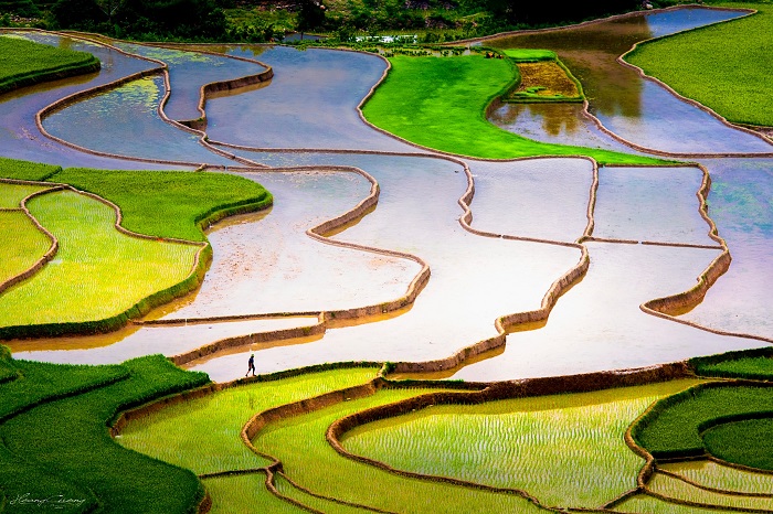 Những mảng màu kỳ thú trên thửa ruộng bậc thang tại Mù Cang Chải mùa nước đổ