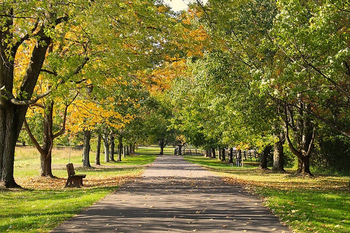 East Aurora là một trong những thị trấn cổ nhất tiểu bang New York với khung cảnh đẹp như tranh vẽ
