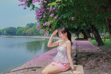 Siêu HOT: Điểm check in hoa bằng lăng Hà Nội đang nở rực trời
