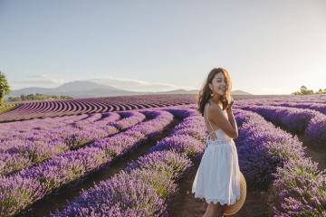 Pose dáng xinh, săn ảnh đẹp tại những cánh đồng lavender đẹp nhất thế giới năm 2024