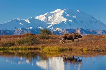 Khám phá các công viên quốc gia hàng đầu Alaska