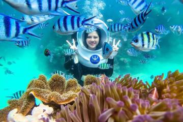 Đi bộ khám phá đại dương đa màu sắc tại công viên san hô Namaste Phú Quốc