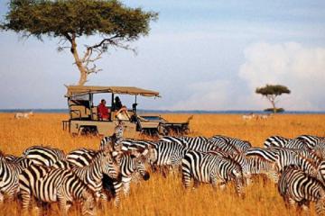 Top 8 trải nghiệm đáng nhớ nhất Kenya bạn không nên bỏ qua!