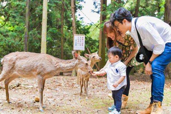 Thêm ngay 9 địa điểm du lịch gia đình ở Nhật Bản này vào lịch trình vi vu hè này