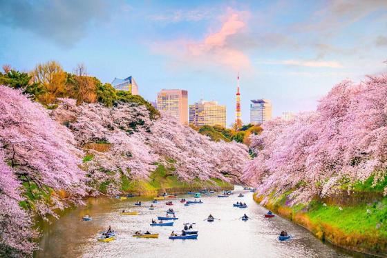 Tokyo đắt đỏ? Lưu ngay kinh nghiệm du lịch Tokyo tiết kiệm chưa ai nói cho bạn biết