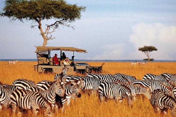 Top 8 trải nghiệm đáng nhớ nhất Kenya bạn không nên bỏ qua!