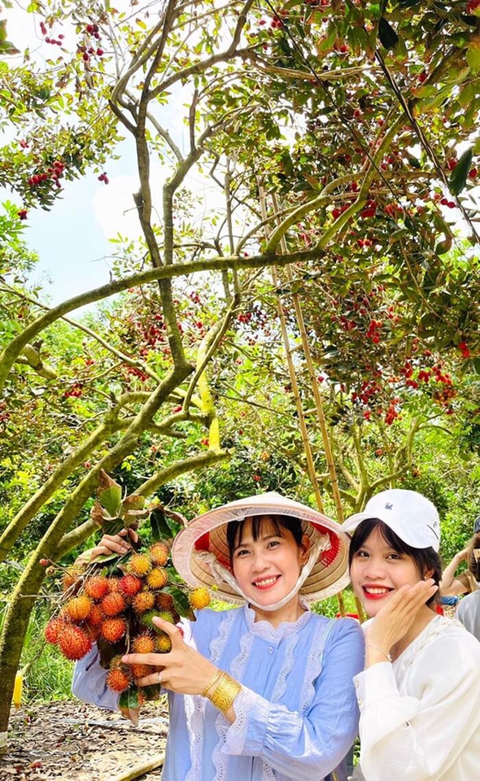 nhiều du khách từ Sài thành ghé thăm vườn chôm chôm nổi tiếng ở miền Nam trong ngày