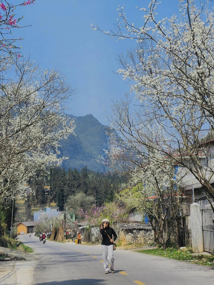 Thị trấn Phố Bảng cũng đẹp không kém làng Sảo Há Hà Giang