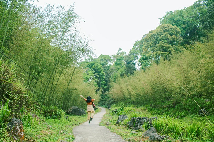 Ngôi làng cổ Sảo Há Hà Giang dường như đã bị bỏ quên khỏi sự phát triển của công nghệ