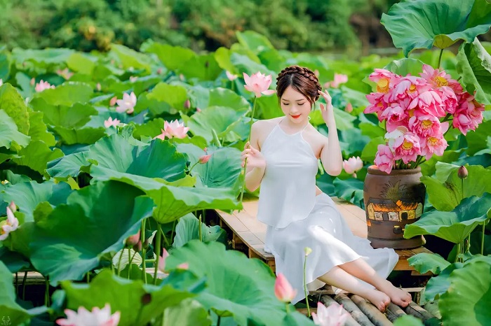 Mùa hoa tháng 6 Hà Nội gọi tên hoa sen hồng