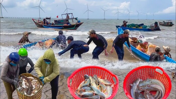 Kinh nghiệm du lịch Biển Ba Động Trà Vinh - Khám phá cuộc sống của ngư dân