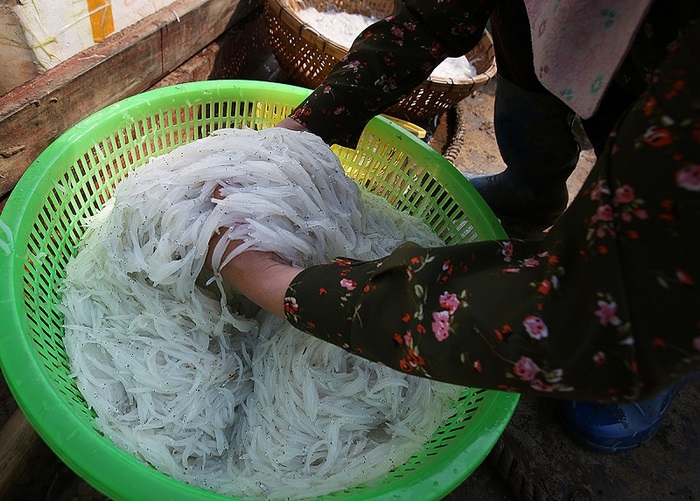 Cá ngần chỉ xuất hiện vào tháng 4-6.