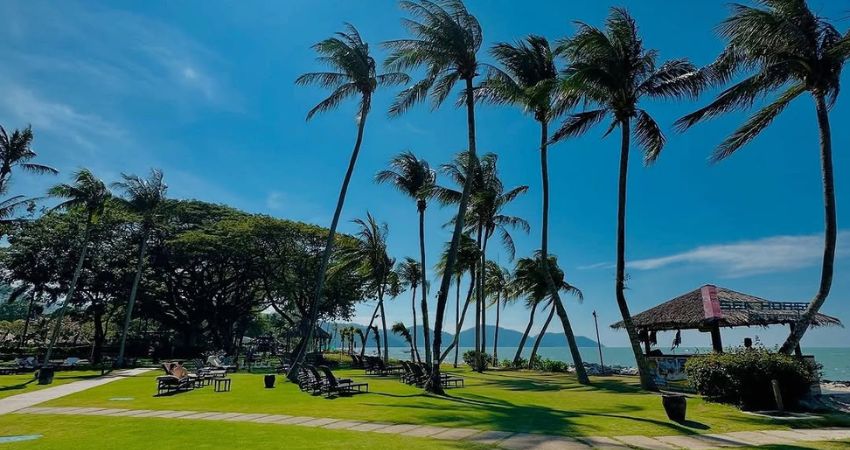 Theo cẩm nang du lịch Batu Ferringhi Malaysia, bạn có thể đến đây vào tháng 12-3 năm sau