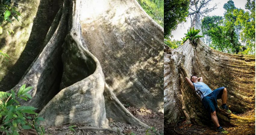 Khu di tích đá cổ Cherok Tok Kun