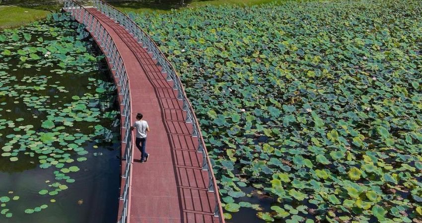 Cyberjaya Lake Gardens