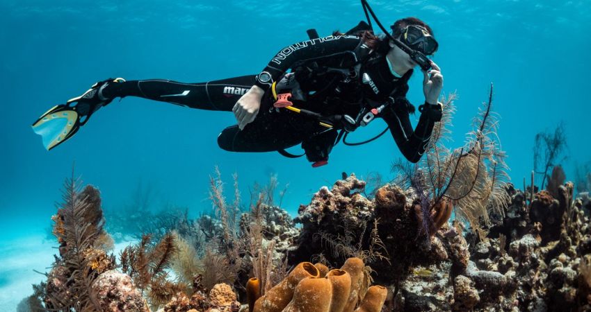 Lặn ống thở để khám phá đại dương sâu hơn - cẩm nang du lịch Redang Island Malaysia