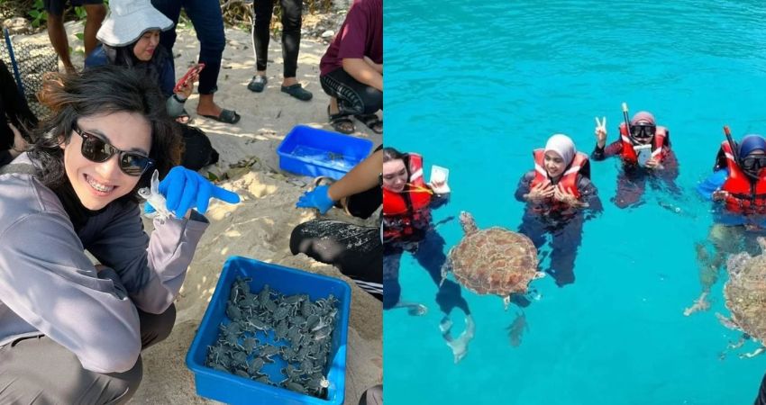 Ngắm rùa biển trong lòng đại dương tại Pasir Chagar Hutang