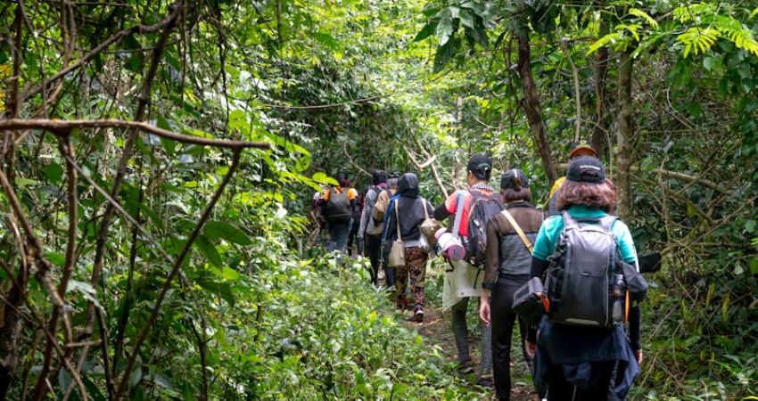 Trekking xuyên rừng nhiệt đới - cẩm nang du lịch Redang Island Malaysia