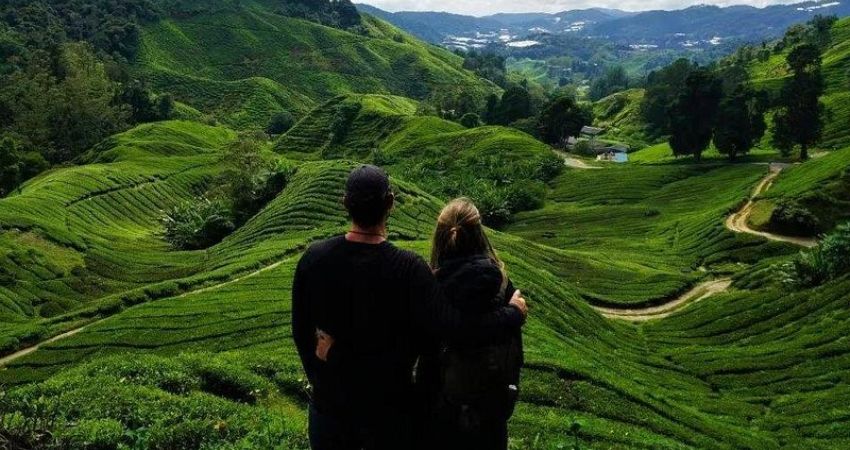 Gợi ý từ cẩm nang du lịch Tanah Rata Malaysia, bạn có thể đến nơi đây vào tháng 3-9 hằng năm