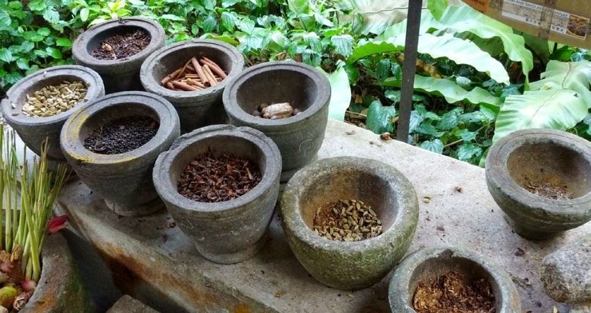 Các loại gia vị Malaysia - cẩm nang du lịch Tanjung Bungah Malaysia