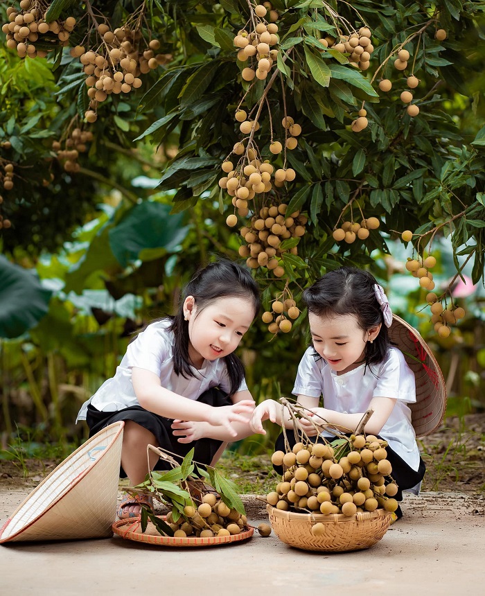Đặc sản Hưng Yên nhất định phải kể tới là nhãn lồng