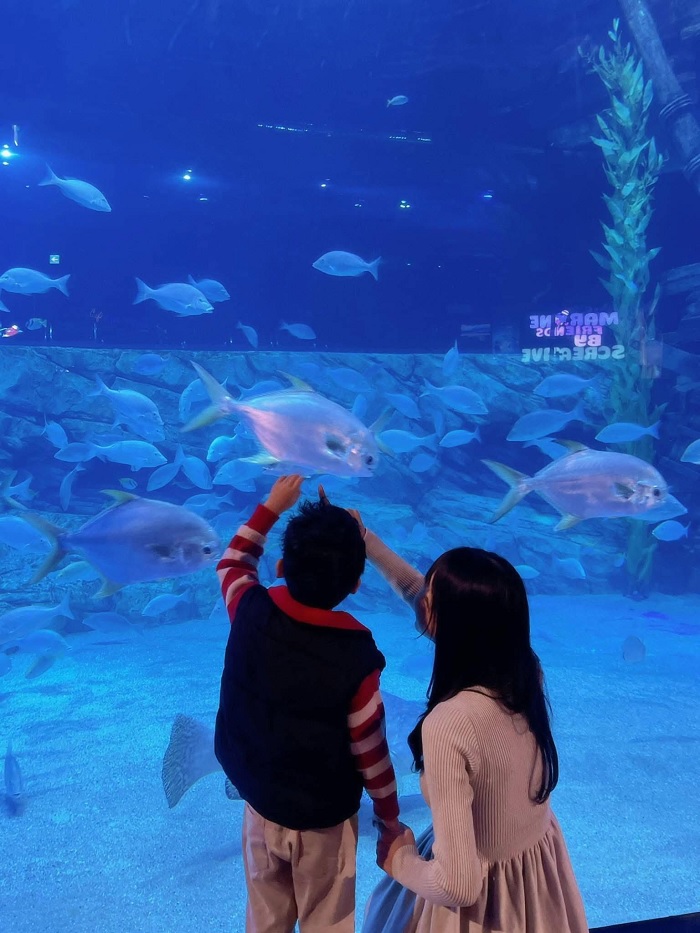 Thuỷ cung Lotte World Aquarium là địa điểm đi chơi 1-6 ở Hà Nội