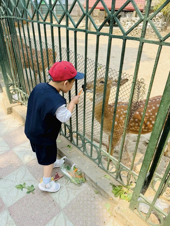 Ghé ngay Công viên Thủ Lệ - địa điểm đi chơi 1-6 ở Hà Nội thôi nào