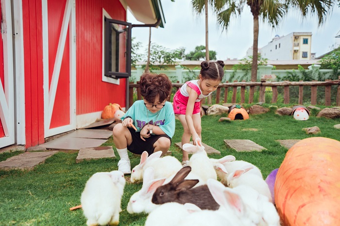 Địa điểm đi chơi 1-6 ở Hà Nội gọi tên Thiên đường Bảo Sơn