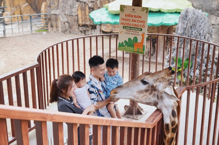 Khu dã ngoại gần Hà Nội cho trẻ em - Công viên thiên đường Bảo Sơn
