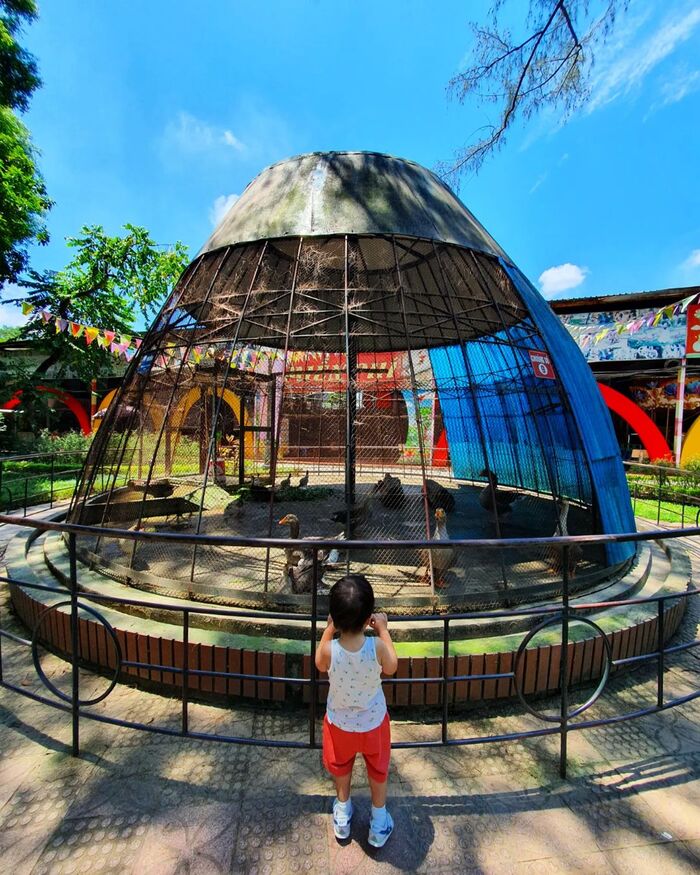 Khu dã ngoại gần Hà Nội cho trẻ em - Công viên Thủ Lệ