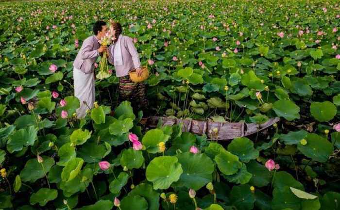 Khu du lịch sinh thái ở Đồng Tháp - Khu du lịch sinh thái Đồng Sen Tháp Mười