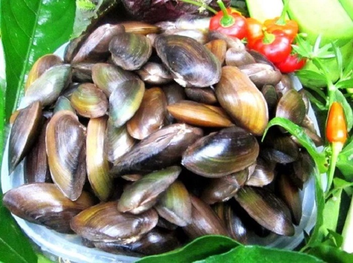 Hấp là cách để giữ trọn vẹn hương vị phi cầu Sài Thanh Hoá mộc mạc. 