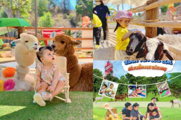 Chăm sóc thú cưng, tham gia workshop dịp cuối tuần tại nông trại xanh Gozoo Farm Đất Đỏ Vũng Tàu