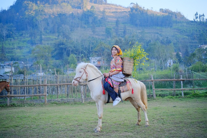 Bắc Hà Horse Farmstay không gian rộng rãi