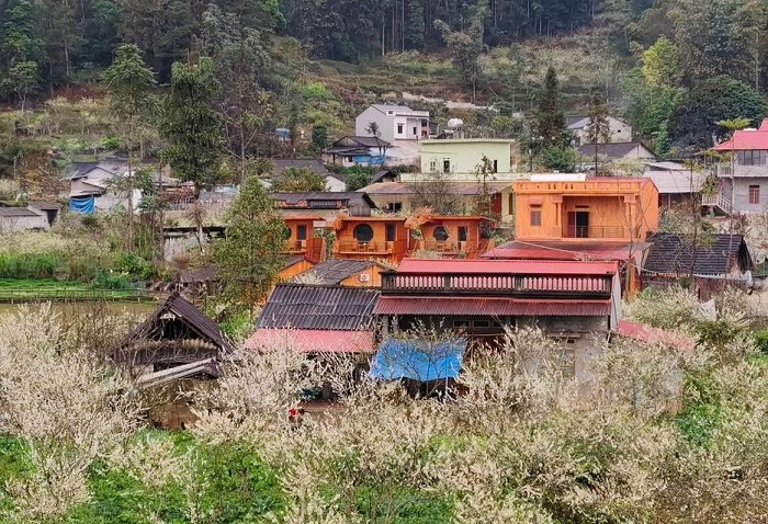 Bắc Hà Horse Farmstay khi nhìn từ trên cao