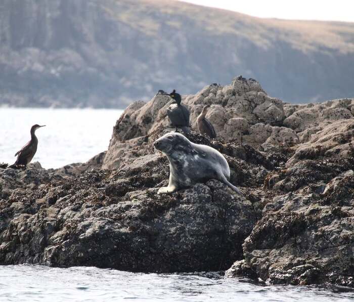 Các hoạt động du lịch trên đảo Skye Scotland - Trải nghiệm boat trip