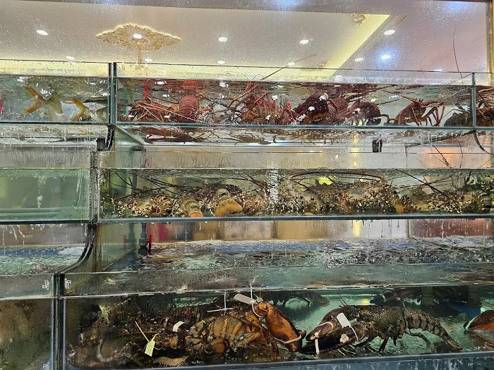 Quán hải sản ngon ở Hạ Long tha hồ lựa chọn