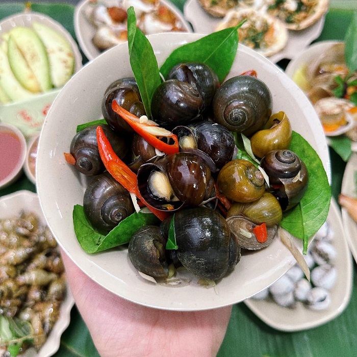 Con nào con nấy quán ốc ngon ở Hải Phòng cũng to béo, nhìn là thấy hấp dẫn 
