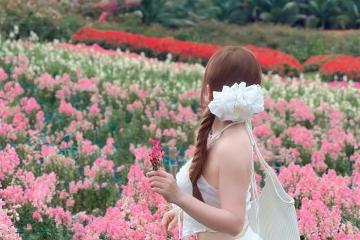 Thung lũng hoa Hồ Tây: Điểm hẹn cuối tuần của Thủ đô
